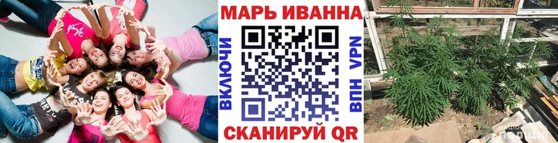 Марихуана сатива  Аркадак 